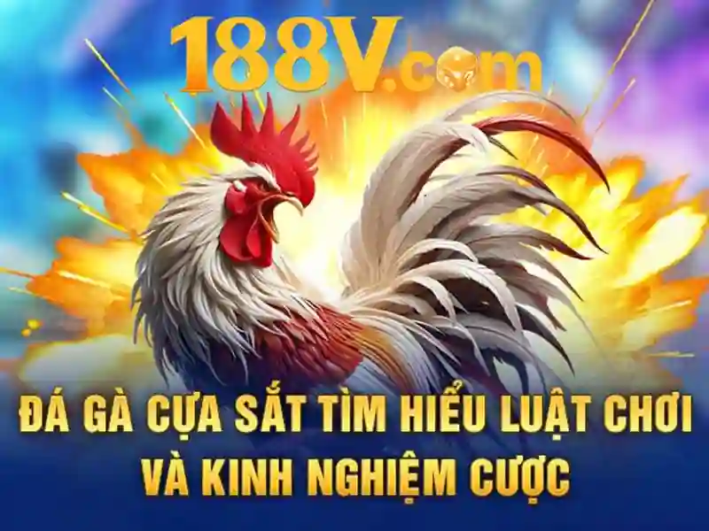 188v ios – Trải nghiệm di động đột phá và đánh giá chi tiết
