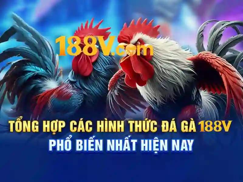 Khuyến mãi 188v - Trải nghiệm ưu đãi và đổi mới cùng 188v