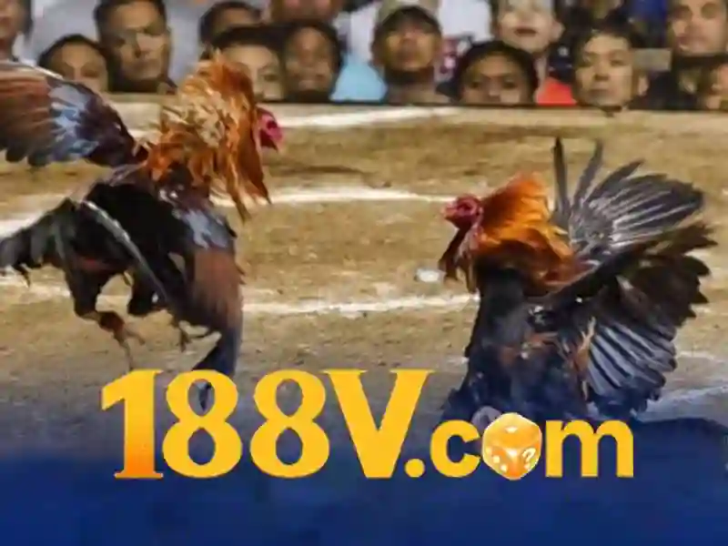 tải apk 188v miễn phí – Trải nghiệm 188v me và 188v game