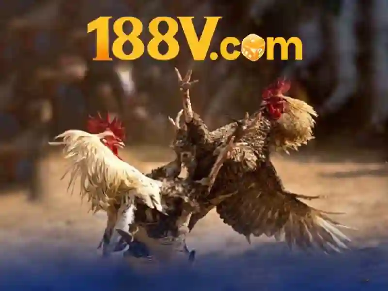 188v – Đột phá trải nghiệm số và cộng đồng kết nối