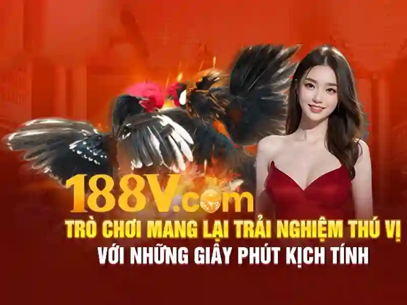 188v app – Trải nghiệm đột phá cho người dùng