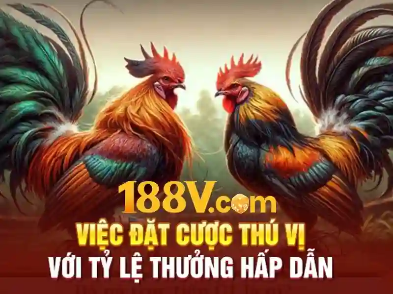 bắn cá 188v – Giới thiệu sáng tạo