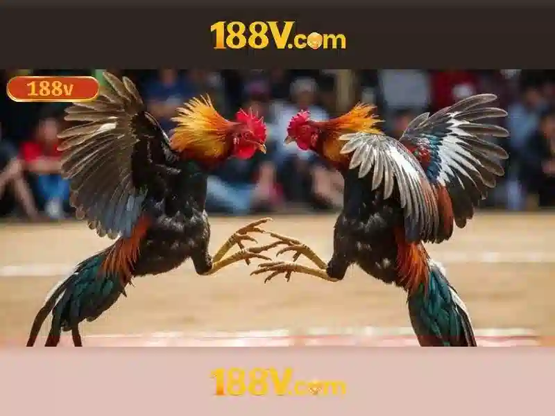 188v là gì và hành trình khám phá
