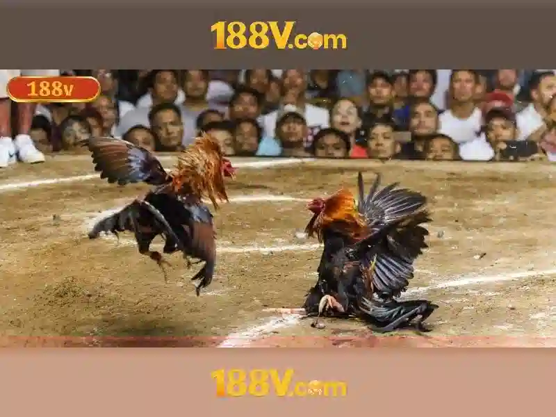 Trải nghiệm và thách thức