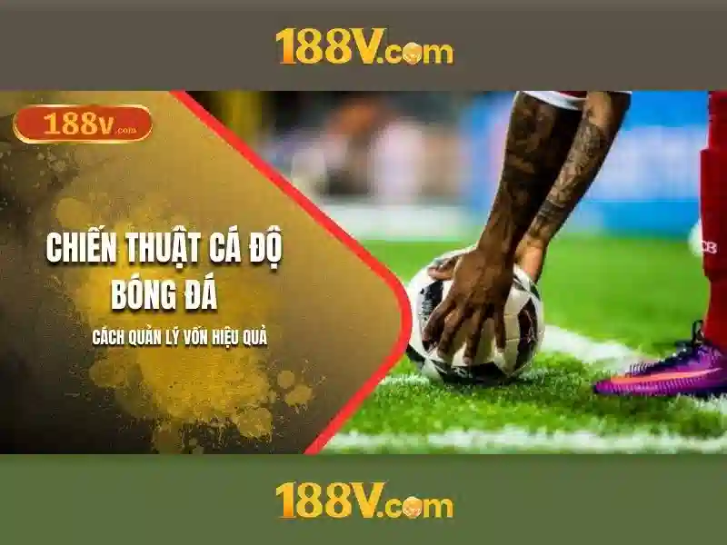 Nguồn gốc và ý tưởng thiết kế