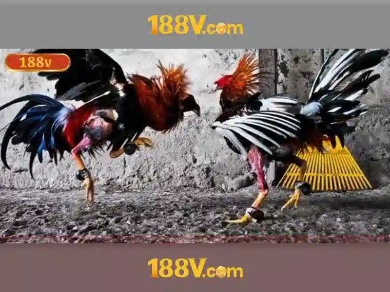 Tổng quan chủ đề và giá trị cốt lõi