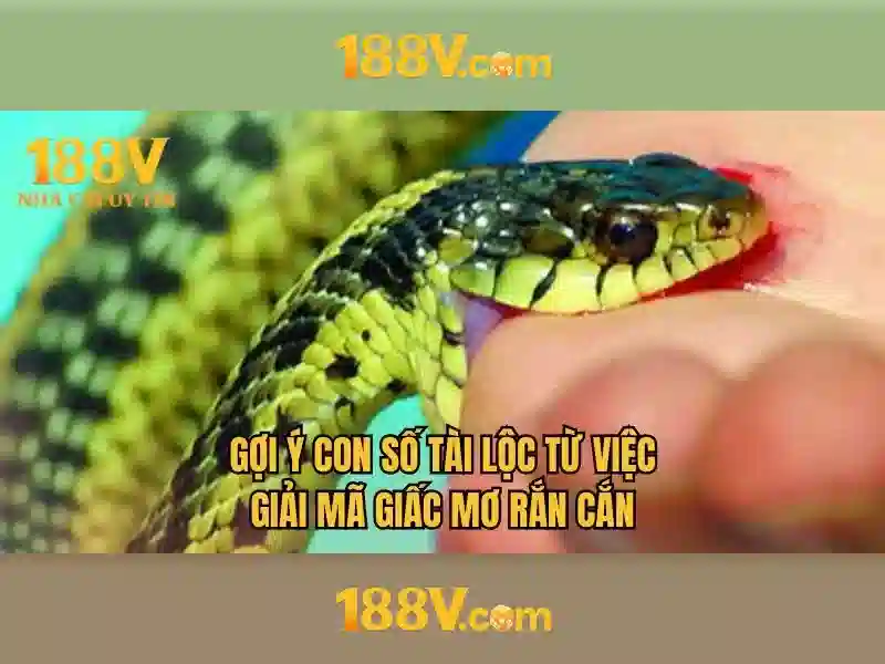 188v: một khái niệm mở