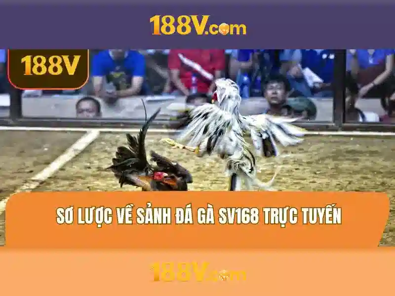 Khái niệm và phạm vi của 188V