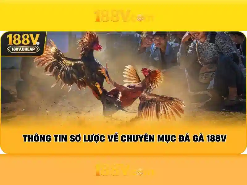 Tác động và ứng dụng của 188v