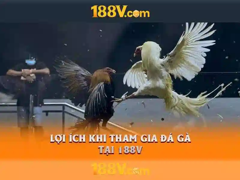 188V là gì?