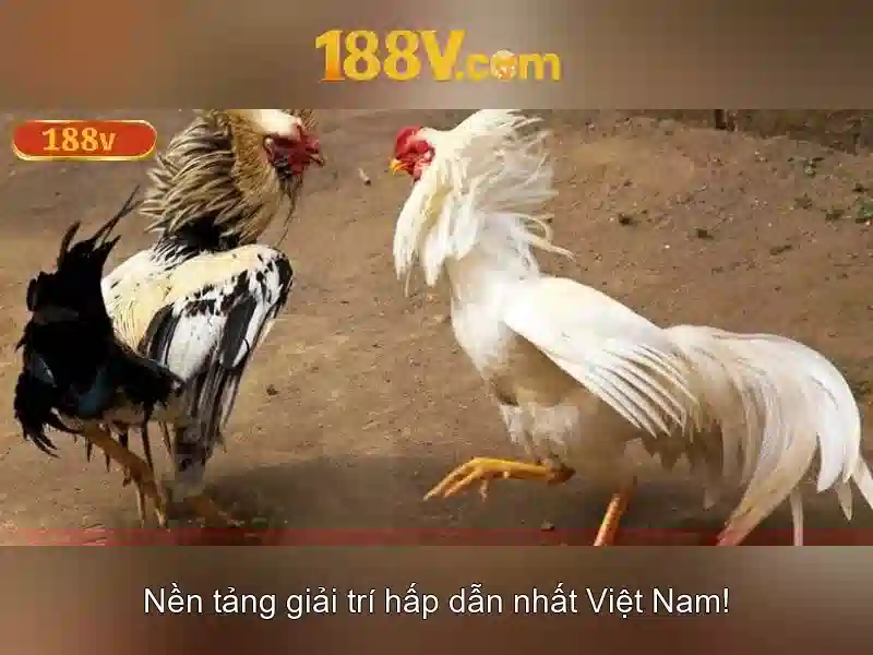 188v là gì?