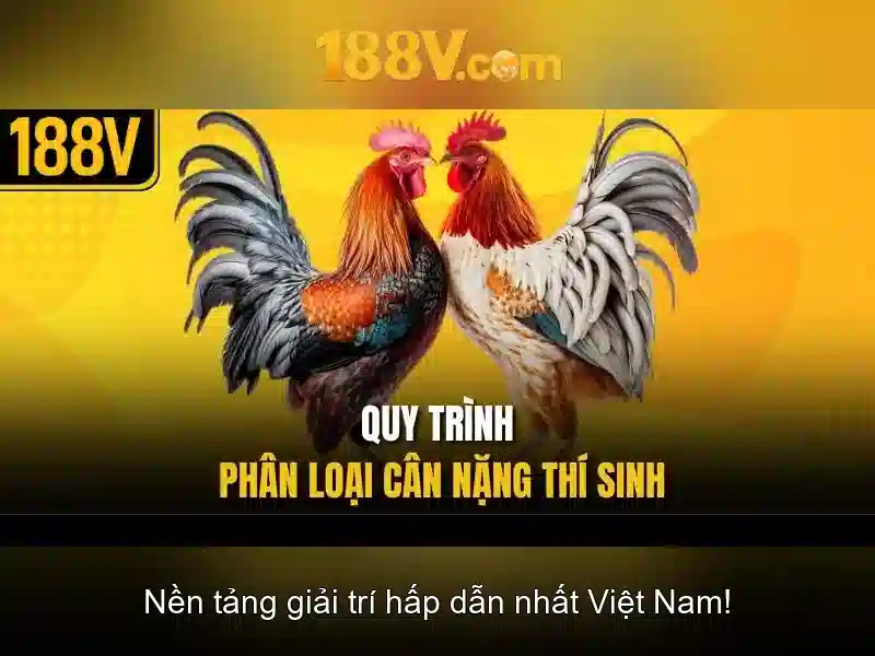 Triển vọng và thách thức