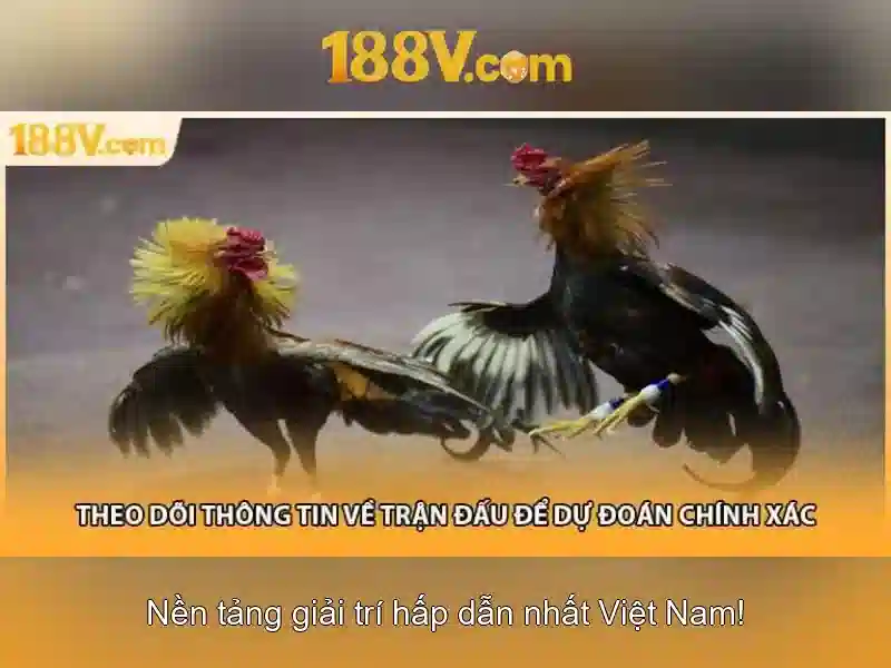 Kiến trúc và ứng dụng của 188v