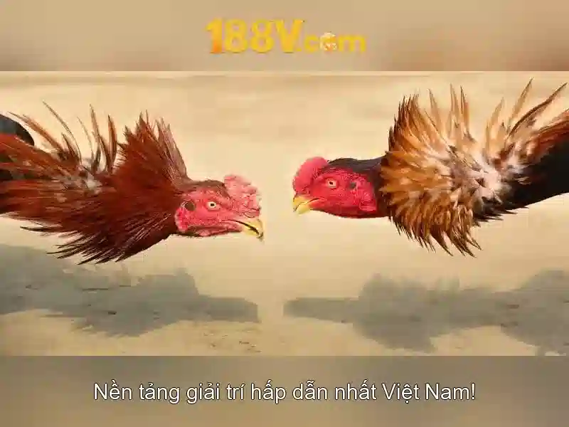 Khía cạnh kỹ thuật và tương lai