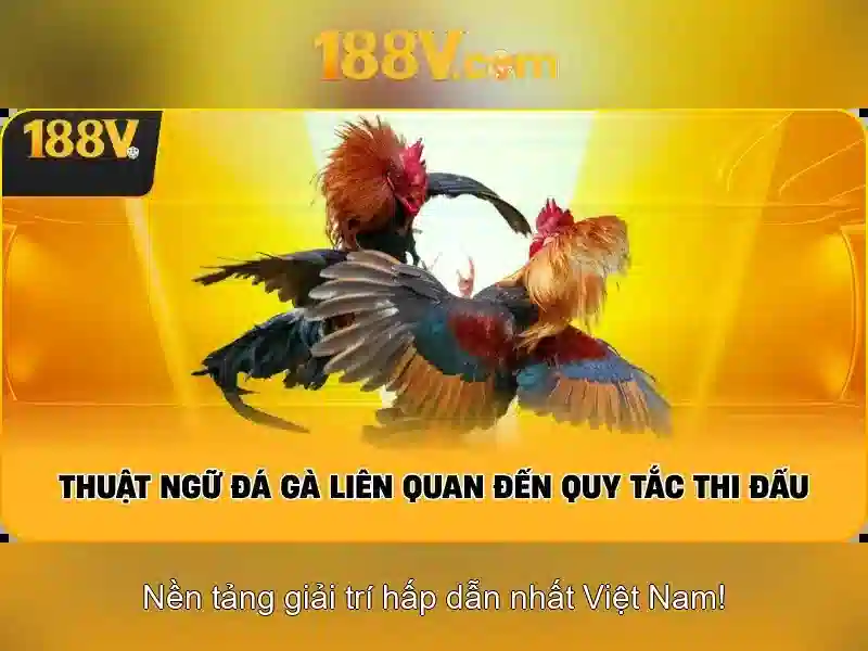 Khía cạnh xã hội và thách thức