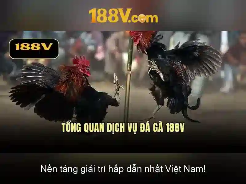 188v đang nhập – Tóm lược chủ đề và giá trị cốt lõi