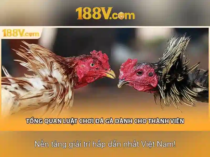 Ảnh hưởng và ứng dụng của 188v