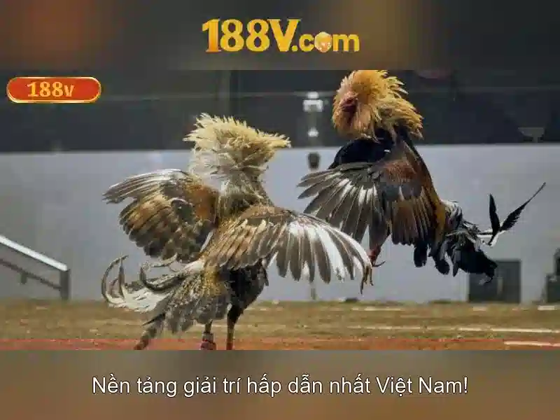 188v: Ứng dụng và tác động