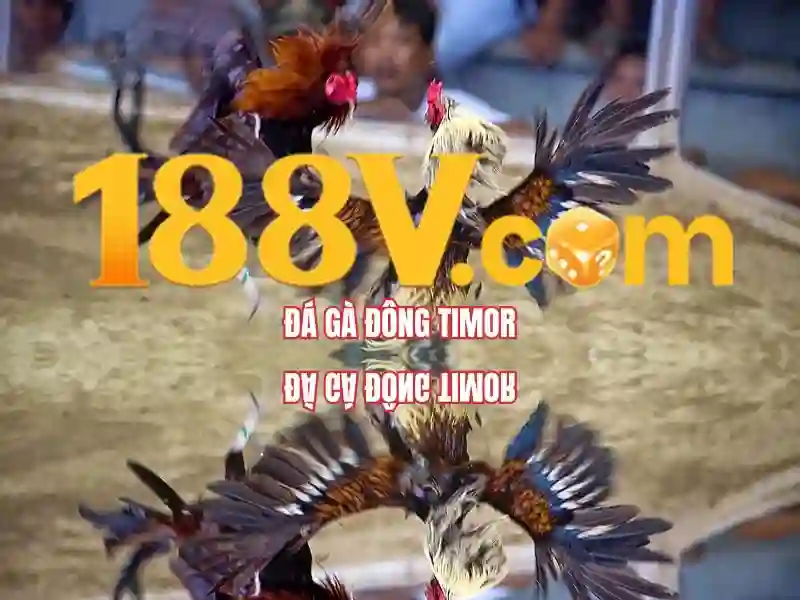 188v có lừa đảo không: Phân tích chi tiết và trải nghiệm thực tế