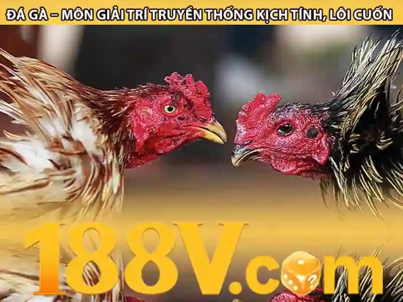 188v com vn – Trải nghiệm, đánh giá và hỗ trợ 188v