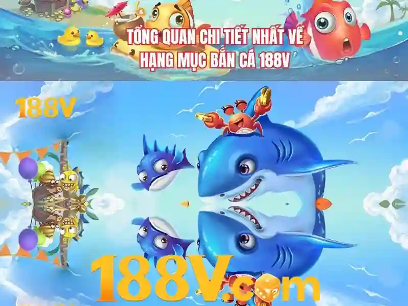 Chính sách bảo mật và điều khoản