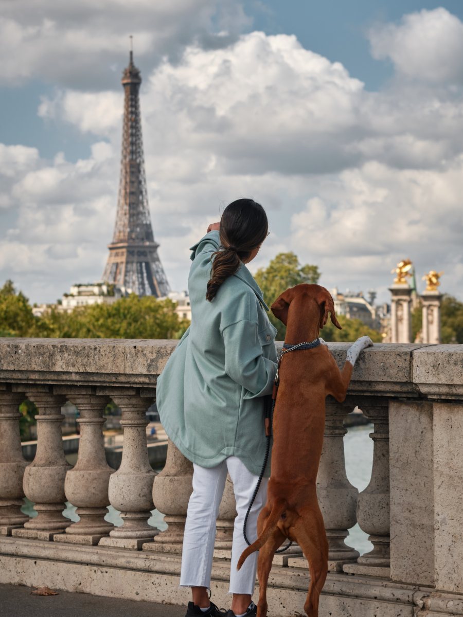 Viajé a París con mi perro y esto aprendimos